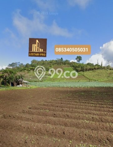 Lahan Investasi Lokasi Tomohon Timur Tomohon - Lahan Investasi Lokasi Tomohon Timur Tomohon -