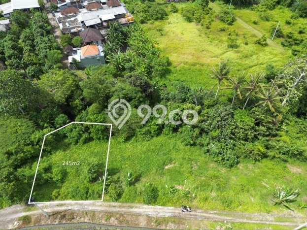 Jarang Ada! Tanah di Tabanan Punya Luas 245m2 SHM Jarang Ada! Tanah di Tabanan Punya Luas 245m2 SHM