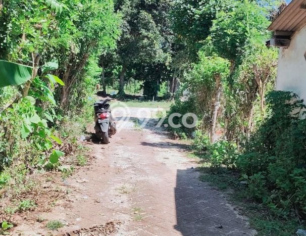 Tanah Kavling Dijual di Badung dengan Spesifikasi 14000m2 Tanah Kavling Dijual di Badung dengan Spesifikasi 14000m2