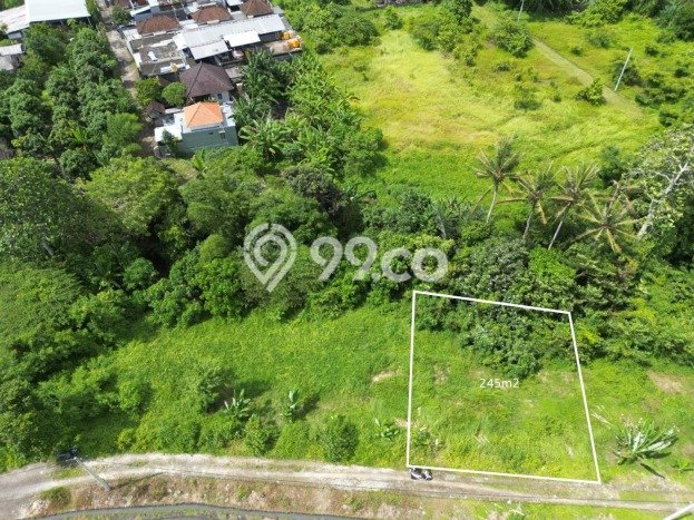 Jarang Ada! Tanah di Tabanan Punya Luas 245m2 SHM Jarang Ada! Tanah di Tabanan Punya Luas 245m2 SHM