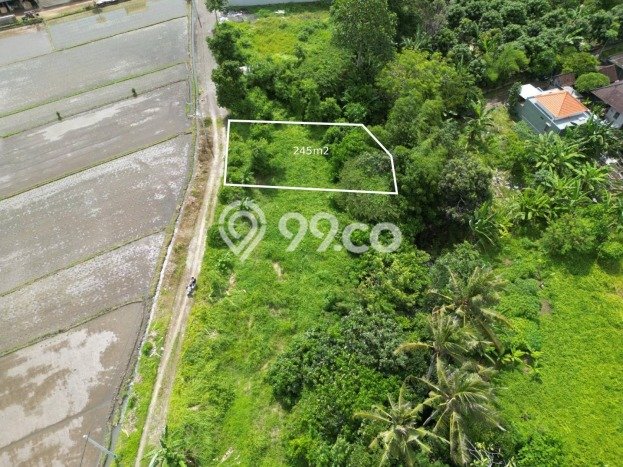 Jarang Ada! Tanah di Tabanan Punya Luas 245m2 SHM Jarang Ada! Tanah di Tabanan Punya Luas 245m2 SHM