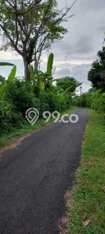 Kavling Tanah Dijual di Tabanan, Tabanan, Luas 1075m2 Area Strategis Kavling Tanah Dijual di Tabanan, Tabanan, Luas 1075m2 Area Strategis