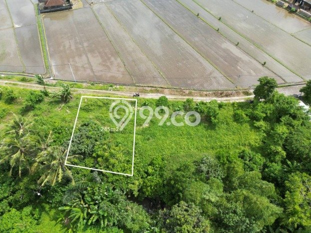 Jarang Ada! Tanah di Tabanan Punya Luas 245m2 SHM Jarang Ada! Tanah di Tabanan Punya Luas 245m2 SHM