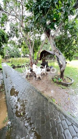 Lahan Kosong Dijual di Denpasar dengan Area 3300m2 Lahan Kosong Dijual di Denpasar dengan Area 3300m2