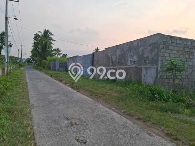 Gudang Dijual Lokasi Stratagis di Bululawang Malang Cocok untuk Bisnis Gudang Dijual Lokasi Stratagis di Bululawang Malang Cocok untuk Bisnis