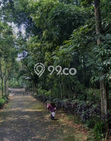 Lahan untuk Dijual di Prigen Pasuruan Luas 19045m2 Lahan untuk Dijual di Prigen Pasuruan Luas 19045m2
