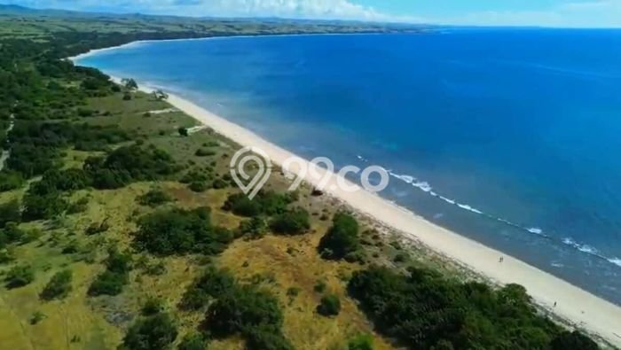 Tanah di Umbu Ratu Nggay, Sumba Tengah Luas 11000m2 Dijual Segera Tanah di Umbu Ratu Nggay, Sumba Tengah Luas 11000m2 Dijual Segera