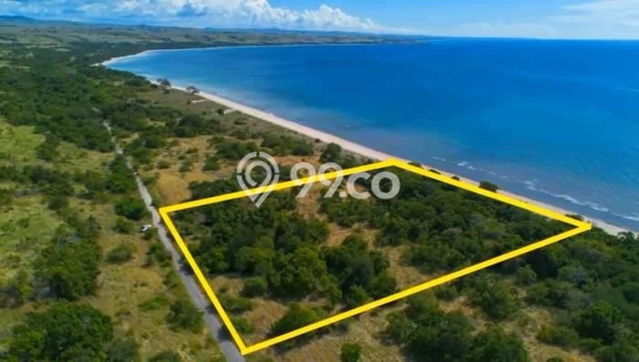 Tanah di Umbu Ratu Nggay, Sumba Tengah Luas 11000m2 Dijual Segera Tanah di Umbu Ratu Nggay, Sumba Tengah Luas 11000m2 Dijual Segera
