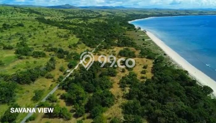Tanah di Umbu Ratu Nggay, Sumba Tengah Luas 11000m2 Dijual Segera Tanah di Umbu Ratu Nggay, Sumba Tengah Luas 11000m2 Dijual Segera