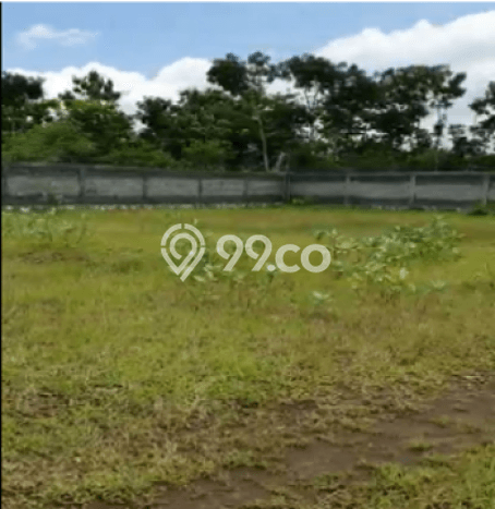 Tanah Dijual Lokasi Semanu, Gunung Kidul Luas 22500m2 Legalitas Aman Tanah Dijual Lokasi Semanu, Gunung Kidul Luas 22500m2 Legalitas Aman