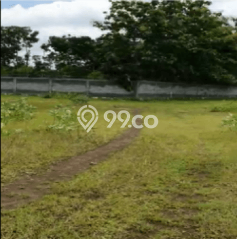 Tanah Dijual Lokasi Semanu, Gunung Kidul Luas 22500m2 Legalitas Aman Tanah Dijual Lokasi Semanu, Gunung Kidul Luas 22500m2 Legalitas Aman