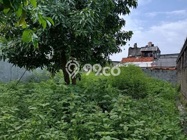 Tanah Dijual Area Strategis di Kalideres Jakarta Barat 987m2 Tanah Dijual Area Strategis di Kalideres Jakarta Barat 987m2