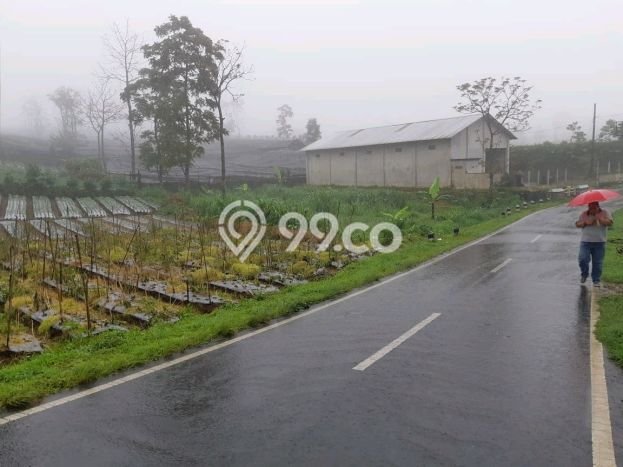 Kavling Tanah di Magelang Selatan Dijual Luas 11m2 Legalitas SHM Kavling Tanah di Magelang Selatan Dijual Luas 11m2 Legalitas SHM