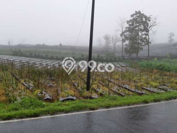 Kavling Tanah di Magelang Selatan Dijual Luas 11m2 Legalitas SHM Kavling Tanah di Magelang Selatan Dijual Luas 11m2 Legalitas SHM