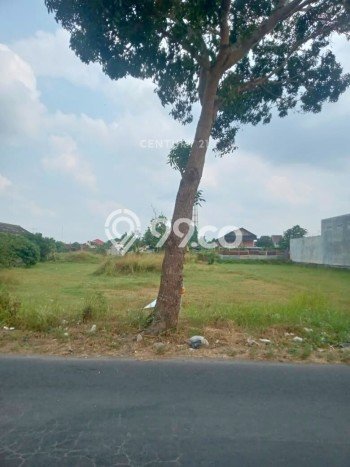 Kavling Tanah Dijual di Godean Sleman Spesifikasi 1860m2 Kavling Tanah Dijual di Godean Sleman Spesifikasi 1860m2