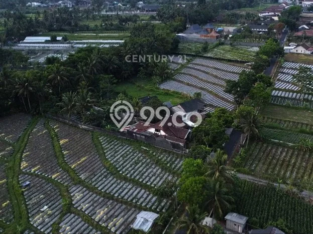 For Sale Rumah 4 Kamar Lokasi Ideal Bagus dan Strategis di Pakem For Sale Rumah 4 Kamar Lokasi Ideal Bagus dan Strategis di Pakem