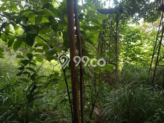 Dijual Tanah Lokasi Jatinangor, Bandung Seluas 5036m2 Dijual Tanah Lokasi Jatinangor, Bandung Seluas 5036m2