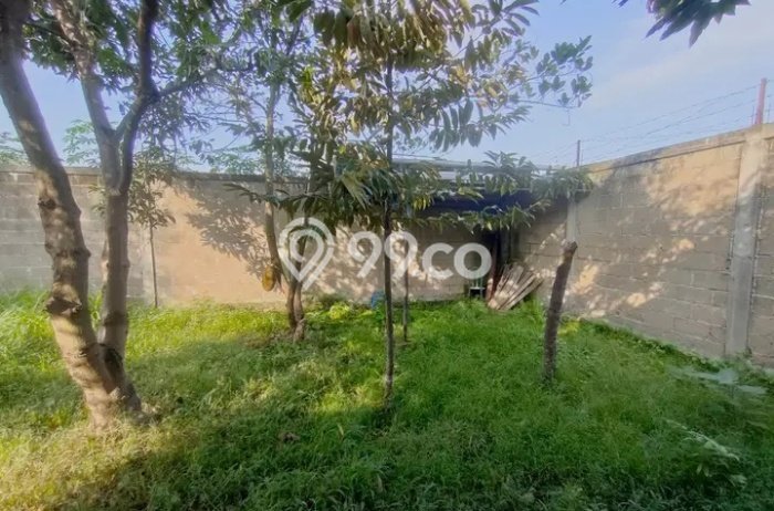 Kesempatan Investasi di Buah Batu, Dekat Kawasan Bisnis, Bandung - 3 Kamar Tidur Kesempatan Investasi di Buah Batu, Dekat Kawasan Bisnis, Bandung - 3 Kamar Tidur