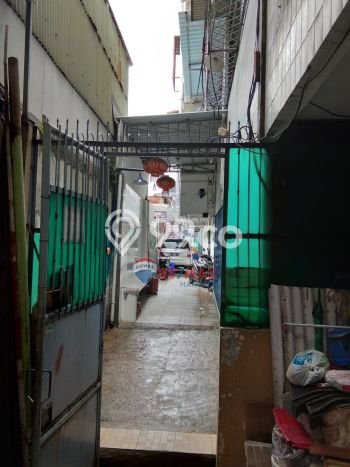 Rumah Luas Asri 4 KT Siap Huni di Jelambar Jakarta Barat Rumah Luas Asri 4 KT Siap Huni di Jelambar Jakarta Barat