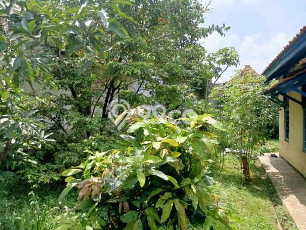 Dijual Hunian Rumah Terawat 3 KT di Ujungberung, Bandung Dijual Hunian Rumah Terawat 3 KT di Ujungberung, Bandung