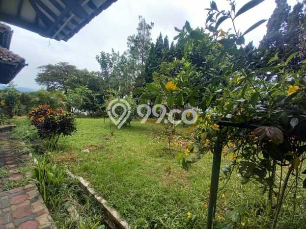 Rumah Elit LB 672m2 Siap Huni Desain Elegan di Setiabudi, Bandung Rumah Elit LB 672m2 Siap Huni Desain Elegan di Setiabudi, Bandung