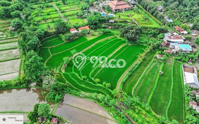 Tanah Kavling Dijual di Buleleng dengan Spesifikasi 8140m2 Tanah Kavling Dijual di Buleleng dengan Spesifikasi 8140m2