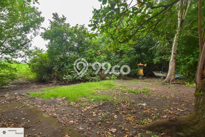 Tanah Dijual Lokasi Strategis di Buleleng dengan Luas 4435m2 Tanah Dijual Lokasi Strategis di Buleleng dengan Luas 4435m2
