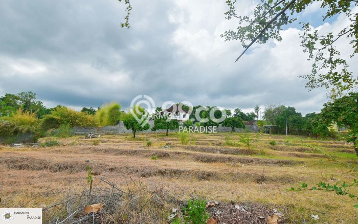 Tanah Kavling Dijual di Kayuputih, Buleleng dengan Luas Tanah 2850m2 Tanah Kavling Dijual di Kayuputih, Buleleng dengan Luas Tanah 2850m2