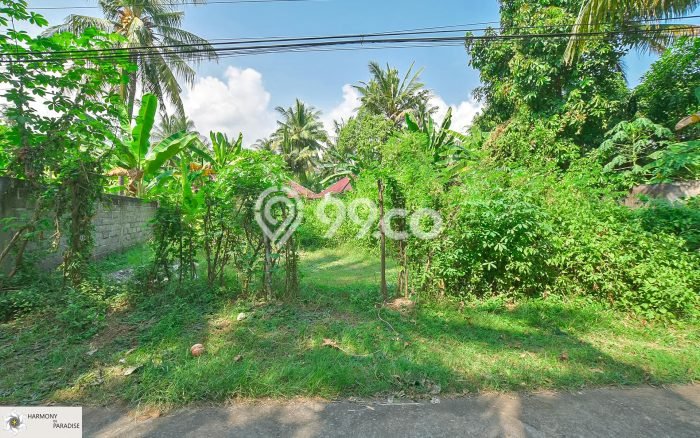 Tanah SHM 400 Are di Kaliasem Lovina, Buleleng Tanah SHM 400 Are di Kaliasem Lovina, Buleleng