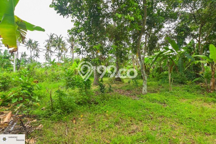 Tersedia Vila di , Area 2000m2m², Lingkungan Asri Tersedia Vila di , Area 2000m2m², Lingkungan Asri