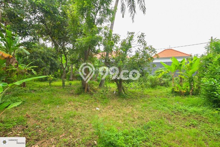 Tersedia Vila di , Area 2000m2m², Lingkungan Asri Tersedia Vila di , Area 2000m2m², Lingkungan Asri