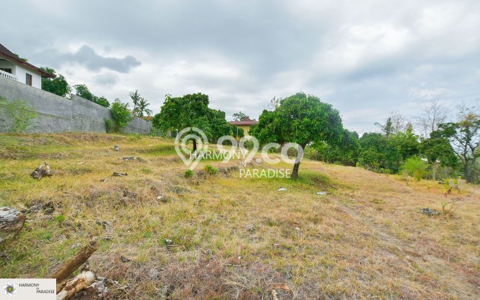 Tanah Kavling Dijual di Kayuputih, Buleleng dengan Luas Tanah 2850m2 Tanah Kavling Dijual di Kayuputih, Buleleng dengan Luas Tanah 2850m2