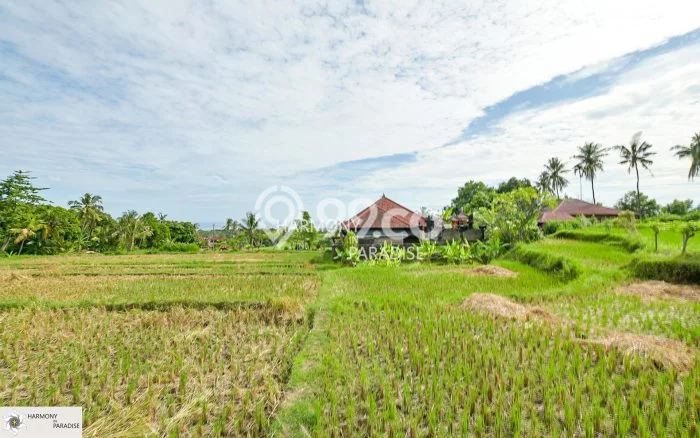 Tanah Kavling Dijual di Panji, Buleleng dengan Luas Tanah 4700m2 Tanah Kavling Dijual di Panji, Buleleng dengan Luas Tanah 4700m2