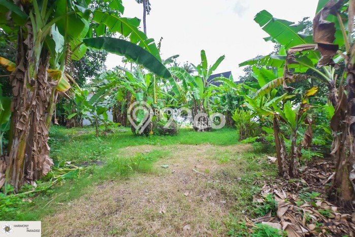 Tersedia Vila di , Area 2000m2m², Lingkungan Asri Tersedia Vila di , Area 2000m2m², Lingkungan Asri