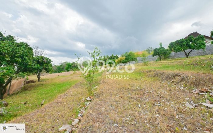 Tanah Kavling Dijual di Kayuputih, Buleleng dengan Luas Tanah 2850m2 Tanah Kavling Dijual di Kayuputih, Buleleng dengan Luas Tanah 2850m2