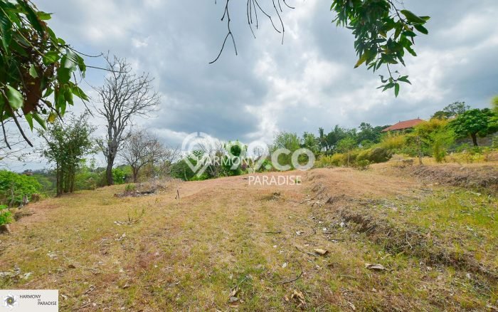 Tanah Kavling Dijual di Kayuputih, Buleleng dengan Luas Tanah 2850m2 Tanah Kavling Dijual di Kayuputih, Buleleng dengan Luas Tanah 2850m2