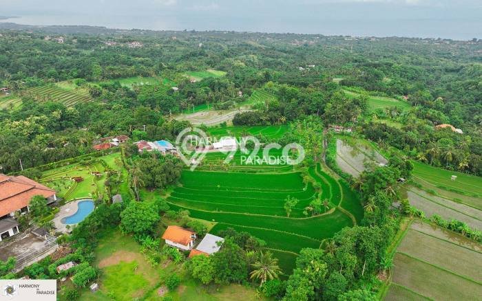Tanah Kavling Dijual di Buleleng dengan Spesifikasi 8140m2 Tanah Kavling Dijual di Buleleng dengan Spesifikasi 8140m2
