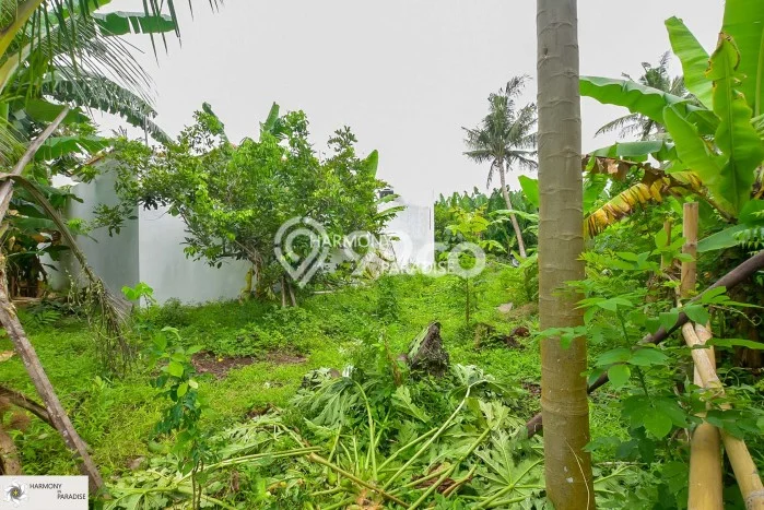 Tersedia Vila di , Area 2000m2m², Lingkungan Asri Tersedia Vila di , Area 2000m2m², Lingkungan Asri