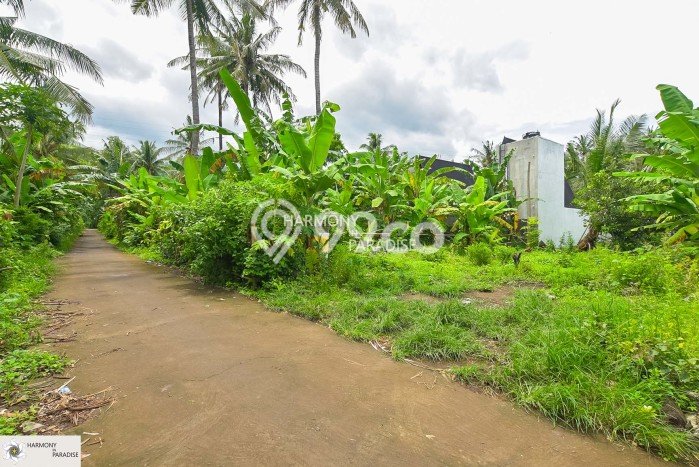 Tersedia Vila di , Area 2000m2m², Lingkungan Asri Tersedia Vila di , Area 2000m2m², Lingkungan Asri