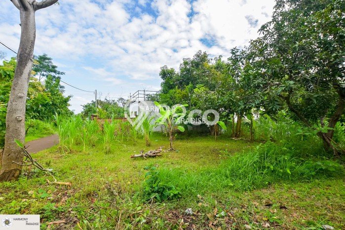 Tanah Dijual Area Strategis di Kaliasem Buleleng 1770m2 Tanah Dijual Area Strategis di Kaliasem Buleleng 1770m2