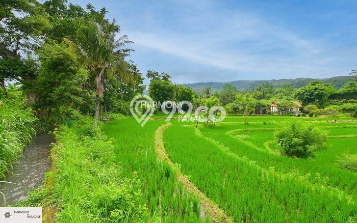 Tanah Kavling Dijual di Buleleng dengan Spesifikasi 8140m2 Tanah Kavling Dijual di Buleleng dengan Spesifikasi 8140m2