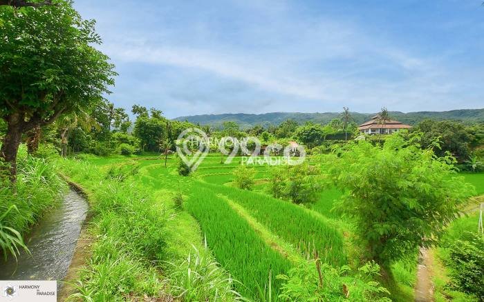 Tanah Kavling Dijual di Buleleng dengan Spesifikasi 8140m2 Tanah Kavling Dijual di Buleleng dengan Spesifikasi 8140m2