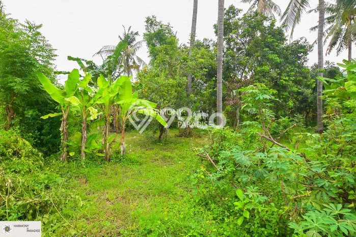 Tersedia Vila di , Area 2000m2m², Lingkungan Asri Tersedia Vila di , Area 2000m2m², Lingkungan Asri