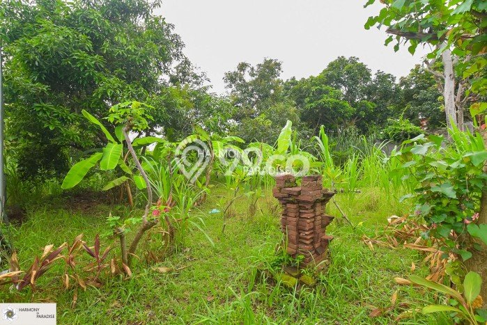 Tanah Dijual Area Strategis di Kaliasem Buleleng 1770m2 Tanah Dijual Area Strategis di Kaliasem Buleleng 1770m2