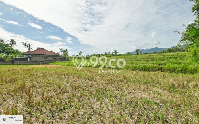 Tanah Dijual di Buleleng Seluas 4700m2 Strategis Tanah Dijual di Buleleng Seluas 4700m2 Strategis