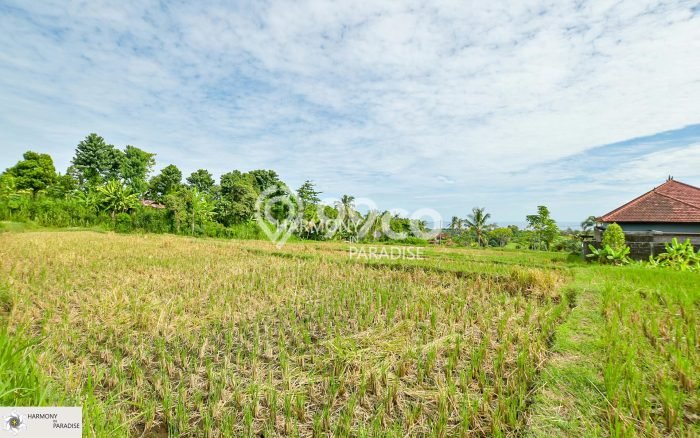 Tanah Dijual di Buleleng Seluas 4700m2 Strategis Tanah Dijual di Buleleng Seluas 4700m2 Strategis