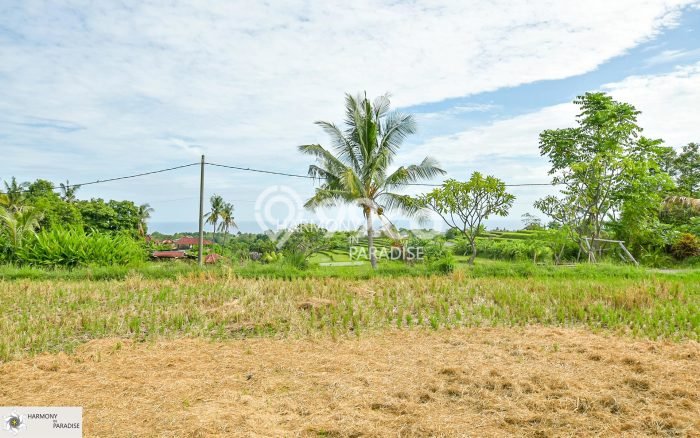 Tanah Dijual di Buleleng Seluas 4700m2 Strategis Tanah Dijual di Buleleng Seluas 4700m2 Strategis