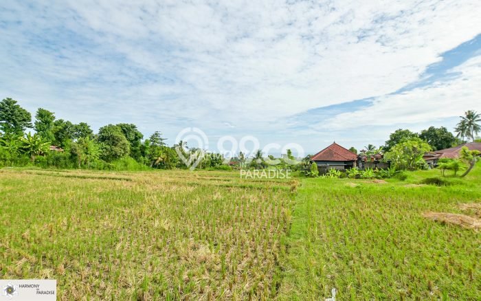Tanah Dijual di Buleleng Seluas 4700m2 Strategis Tanah Dijual di Buleleng Seluas 4700m2 Strategis