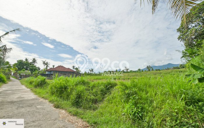 Tanah Dijual di Buleleng Seluas 4700m2 Strategis Tanah Dijual di Buleleng Seluas 4700m2 Strategis