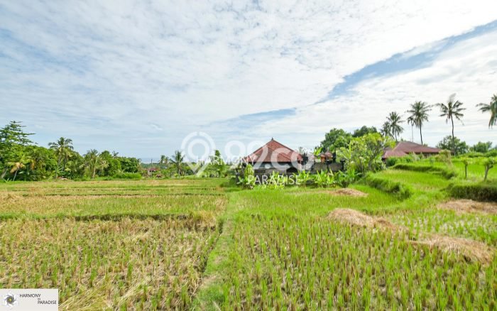 Tanah Dijual di Buleleng Seluas 4700m2 Strategis Tanah Dijual di Buleleng Seluas 4700m2 Strategis